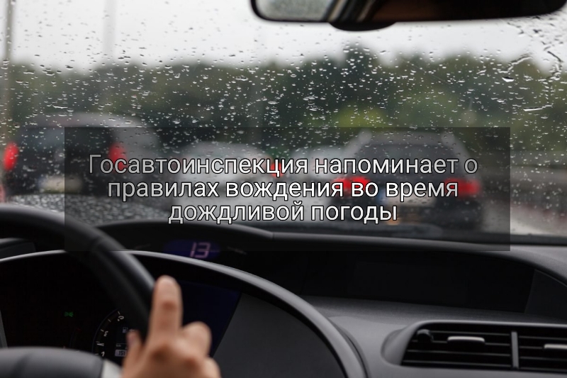 Госавтоинспекция Алтайского края напоминает о правилах вождения во время дождливой погоды.